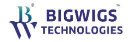 BigWigs Technologies