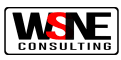 Wsne Consulting