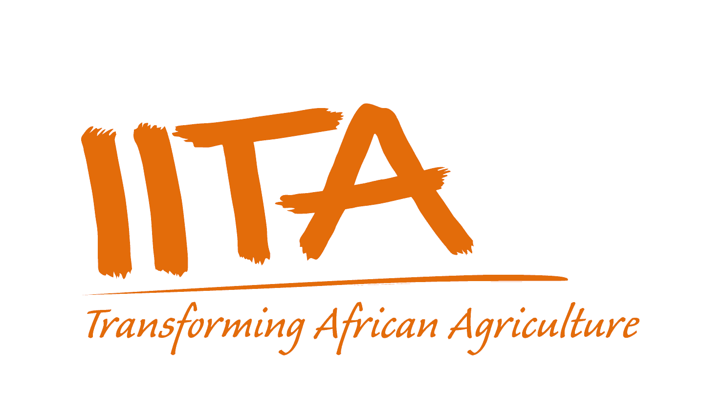 International Institute of Tropical Agriculture (IITA)
